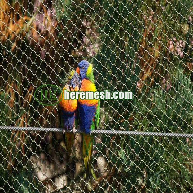 Image showcasing Stainless Steel Rope Bird Aviary Net For Sale , Bird Aviary Mesh