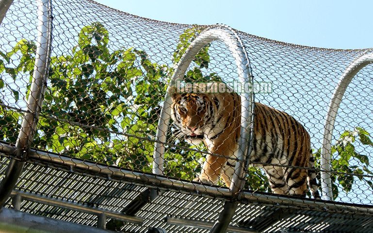 stainless steel zoo tiger enclosure mesh