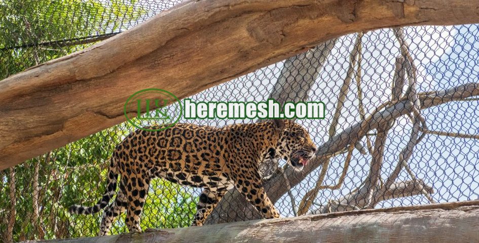 Large Outdoor Animal Enclosure Mesh Safety