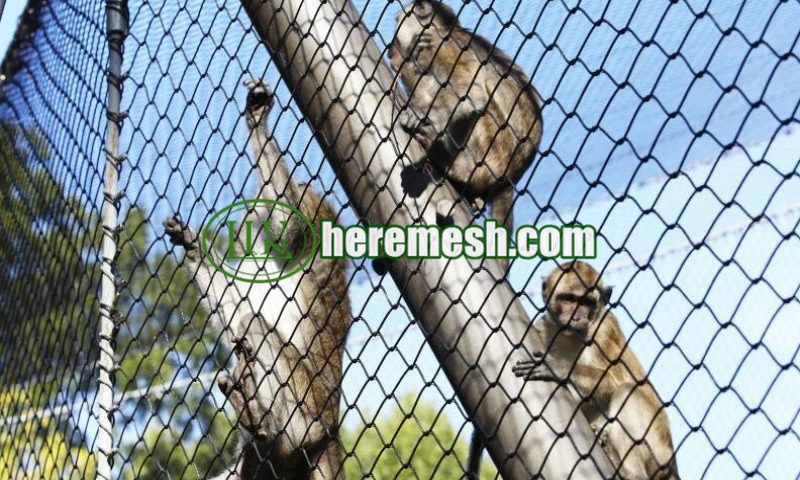 Safety Enclosure Mesh For Monkey