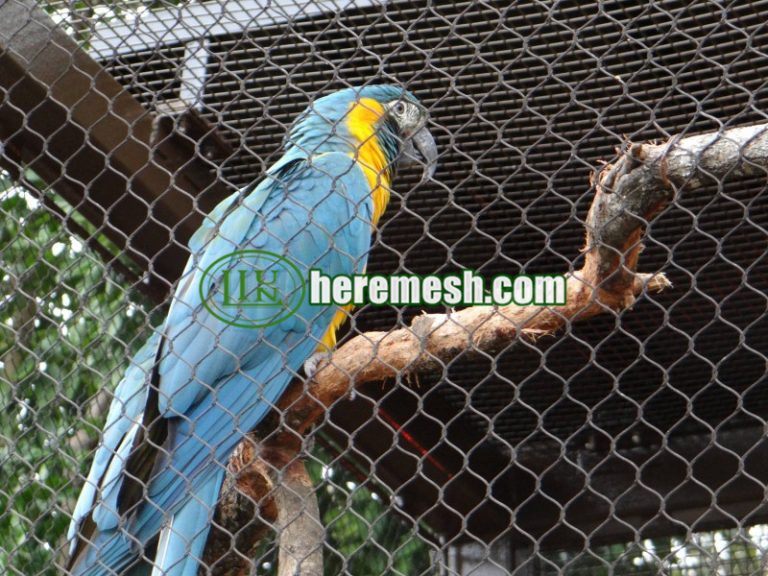 Picture of Stainless Steel Macaw Exhibition Netting ，Macaw aviary mesh