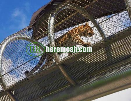 stainless steel animal caging