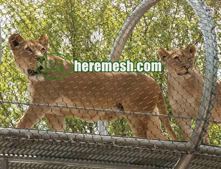 Big Cat Fence Mesh