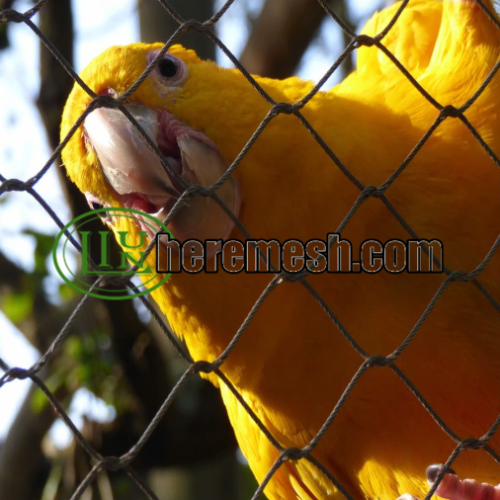 Curated visual reference: Picture Idea: Macaw Aviary Mesh With Health And Safety Material