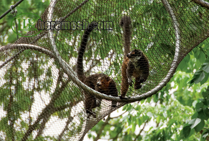 zoo tunnel mesh