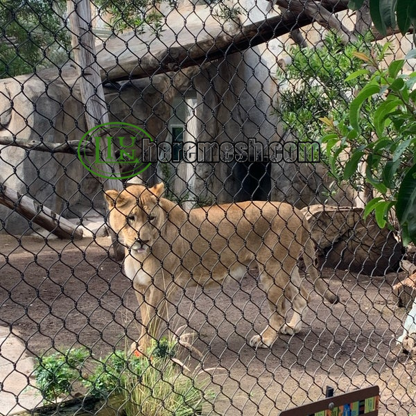 zoo mesh enclosure