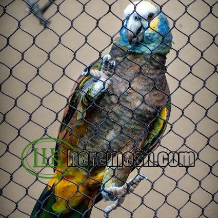 stainless steel parrot aviary mesh