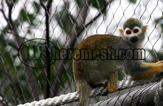 stainless steel animal protection mesh