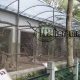 stainless steel animal protection mesh