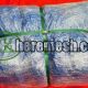 Stainless steel zoo tunnel mesh