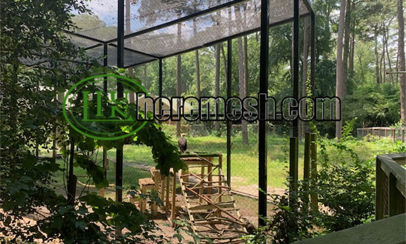 eagle enclosure mesh