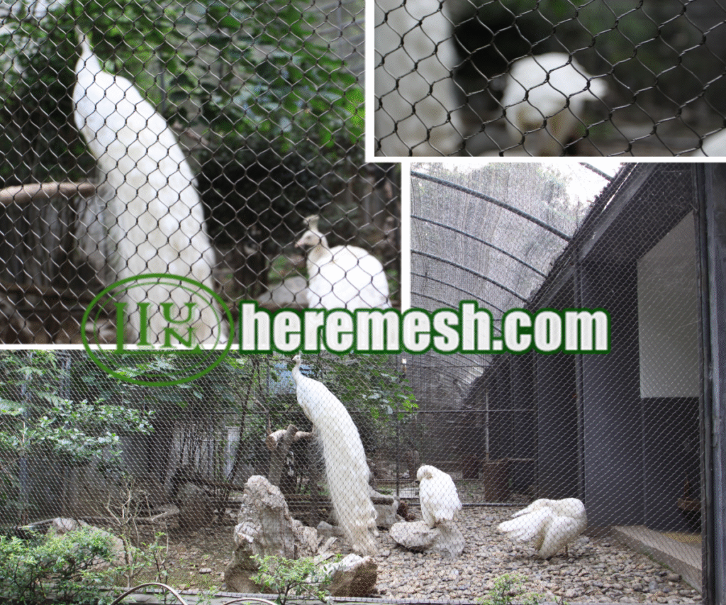 Peacock Phantom Mesh Aviary