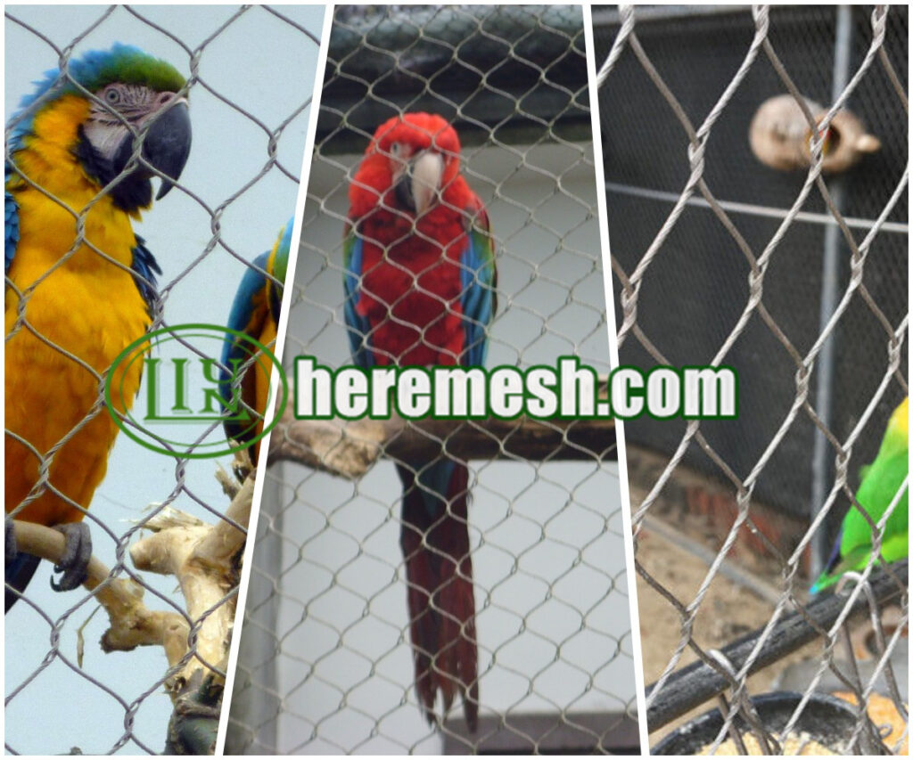 Phantom Mesh Aviary