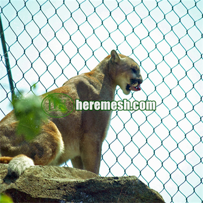 cable mesh for lion enclosure