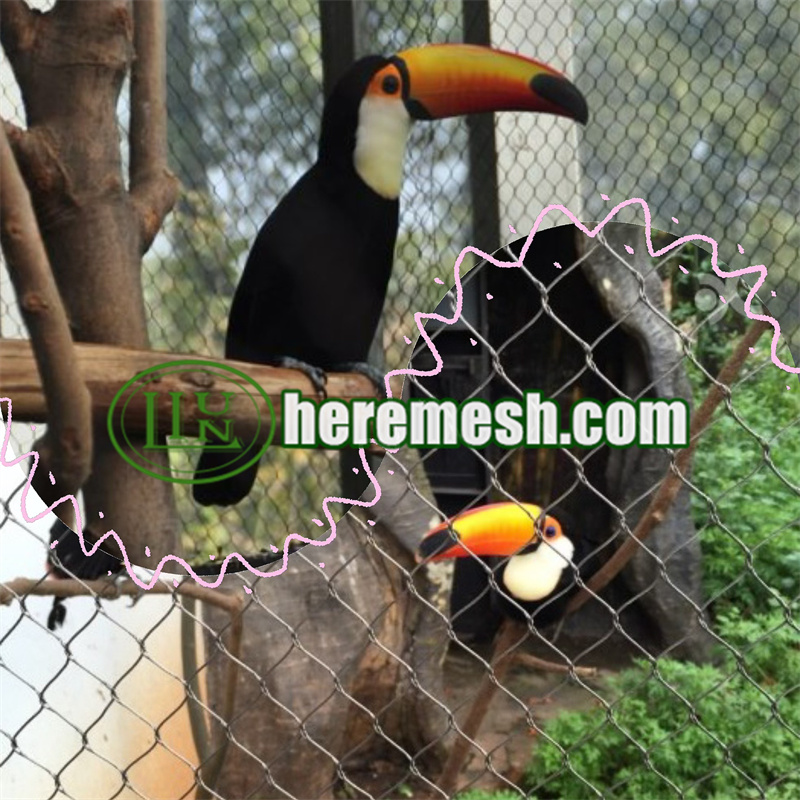 parrot netting