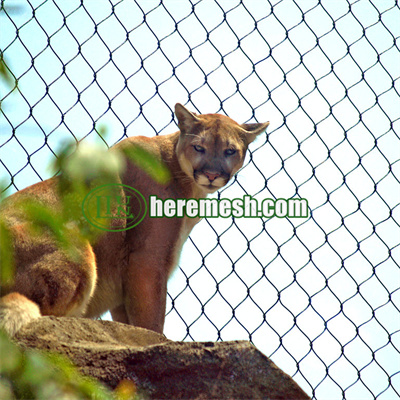 stainless steel cable mesh for lion enclosure