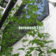 green wall wire mesh