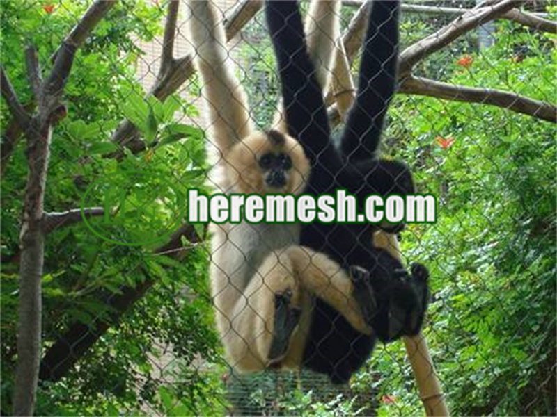 gibbon cage fence mesh
