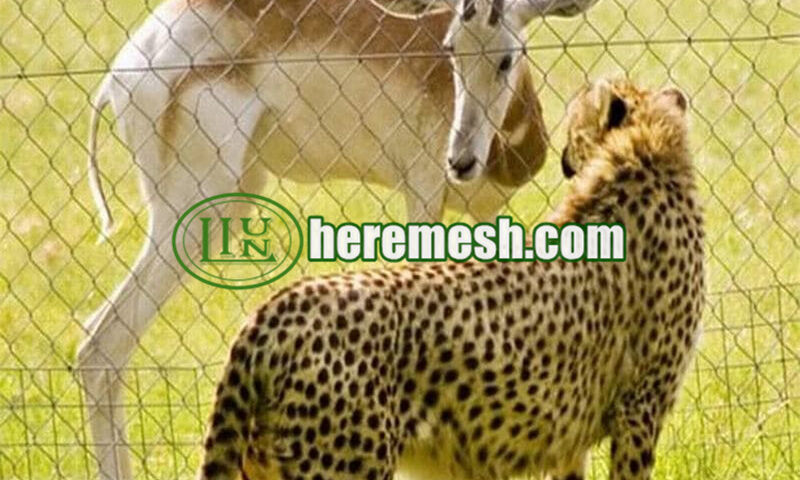 Chinese Custom Zoo Enclosure Mesh