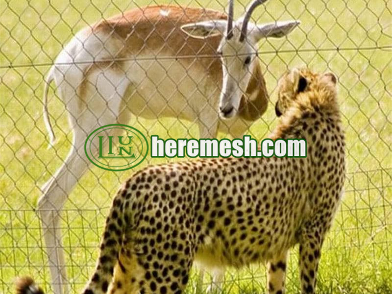 Chinese Custom Zoo Enclosure Mesh