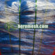 wolf enclosure mesh order